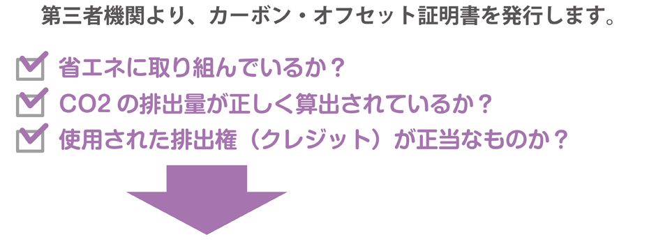 アオイネオンCSR